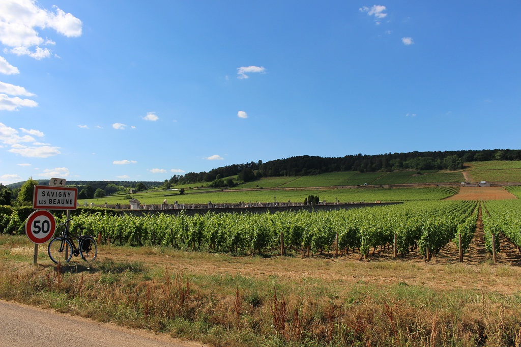 Savigny-lès-Beaune, dernière étape avant retour vers la maison.