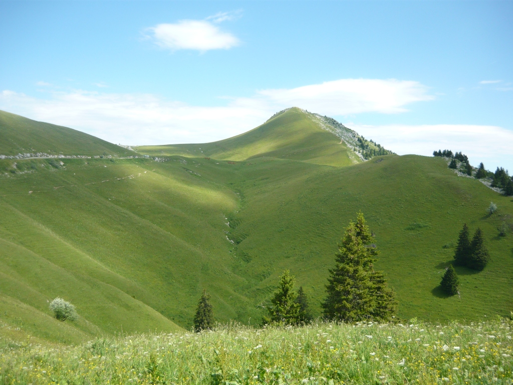 Sortie dans l'alpage