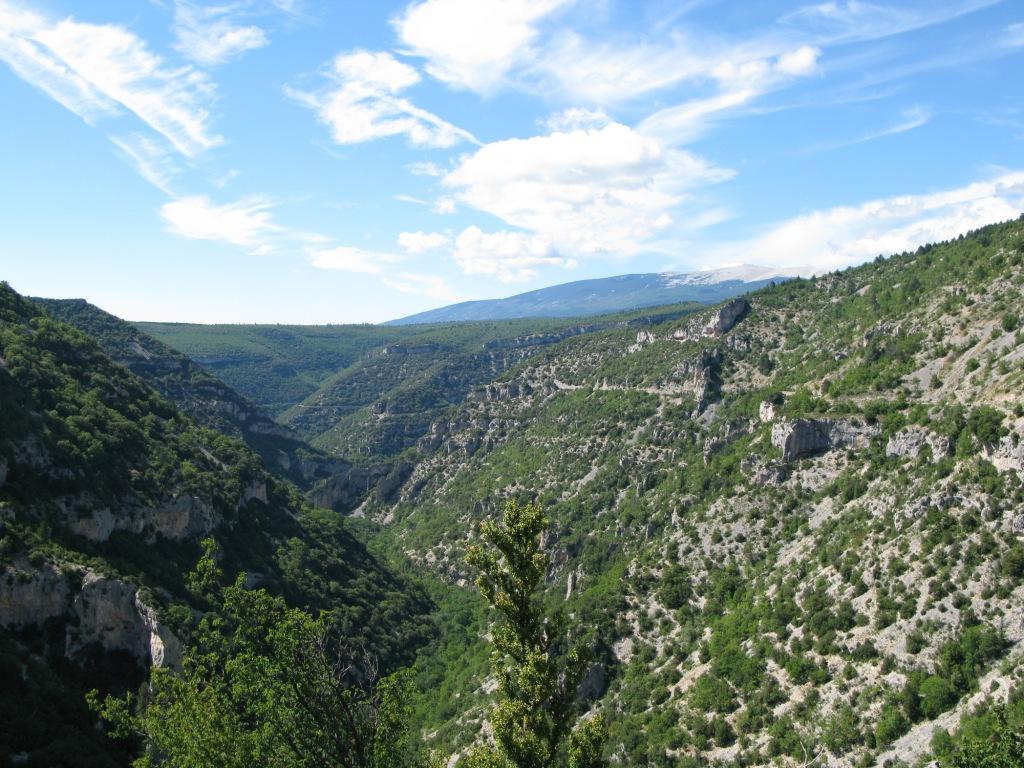 Gorges de la Nesque, Mont Ventoux au fond