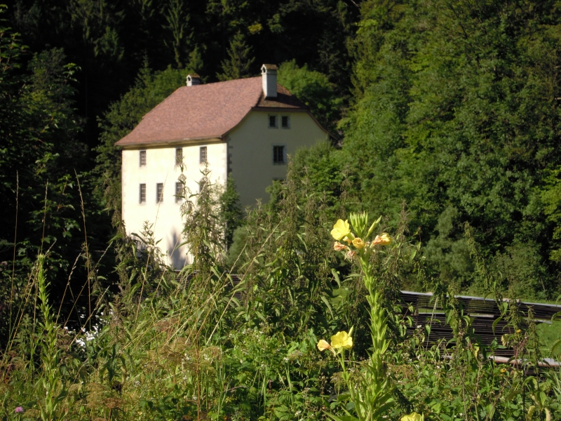 Le moulin du Pichoux