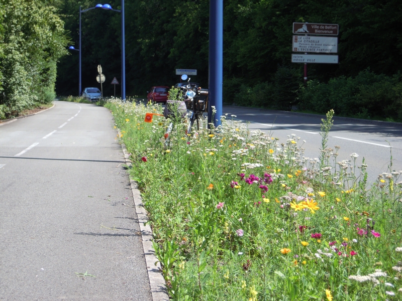 DSCN0194.JPG