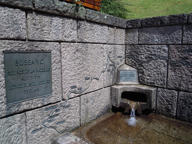 DSCN0208.JPG