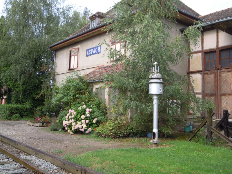 DSCN0214.JPG