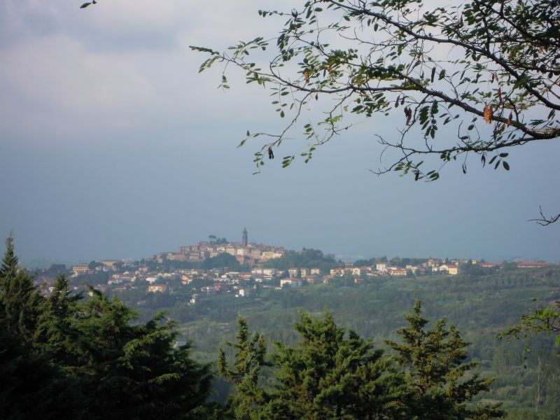 Piccioli.jpg