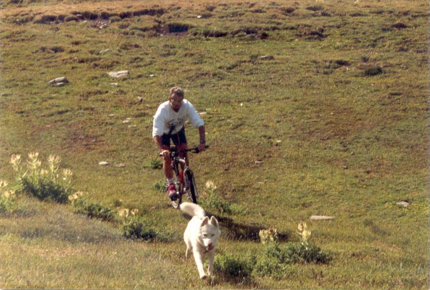 henri VTT 3.jpg