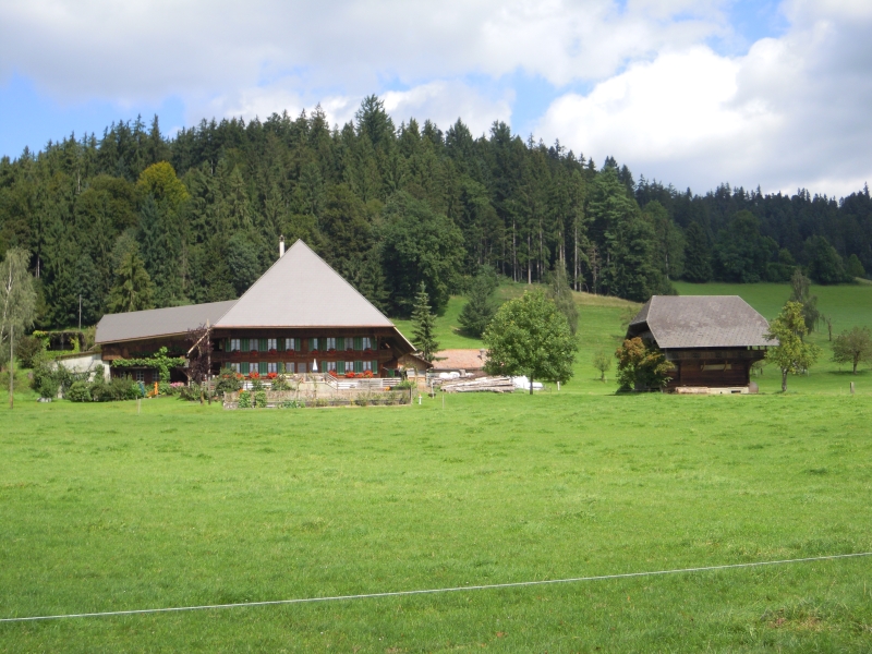 DSCN0335.JPG