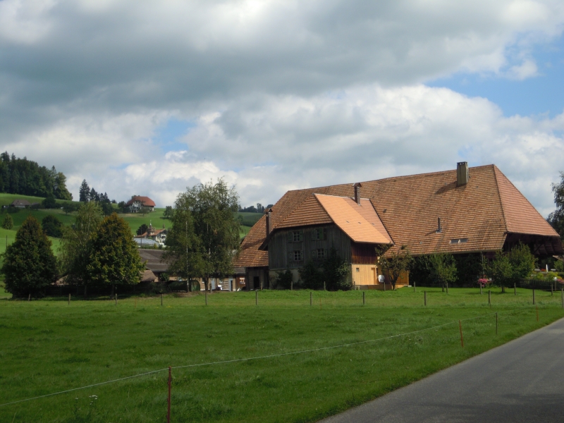 DSCN0336.JPG