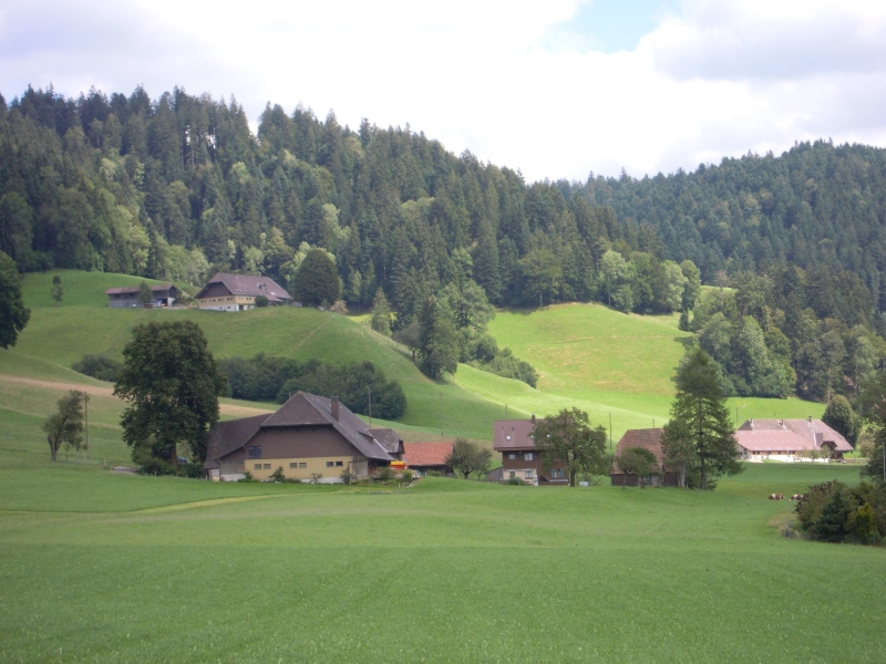 DSCN0340.JPG