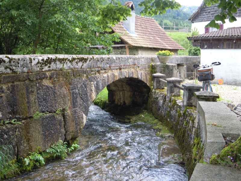 DSCN0323.JPG