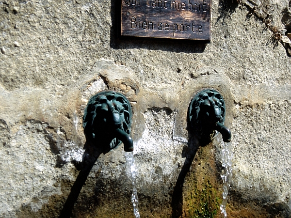 Fondamente (12)<br />"Qui tant me boit, bien se porte"