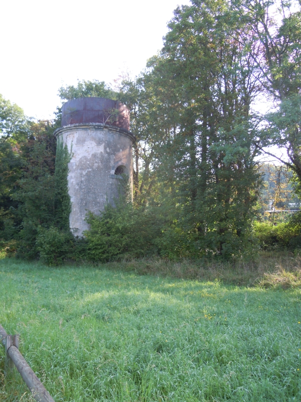 DSCN0366.JPG