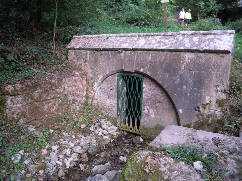 DSCN0396.JPG