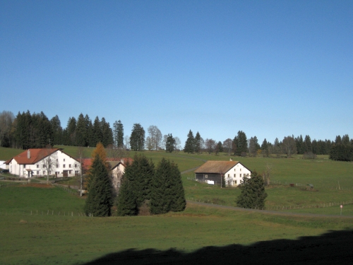 IMG_0907.JPG