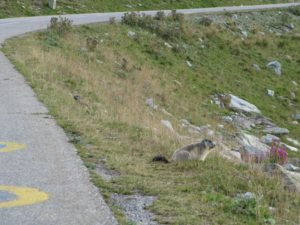 Vélo-stoppeuse !