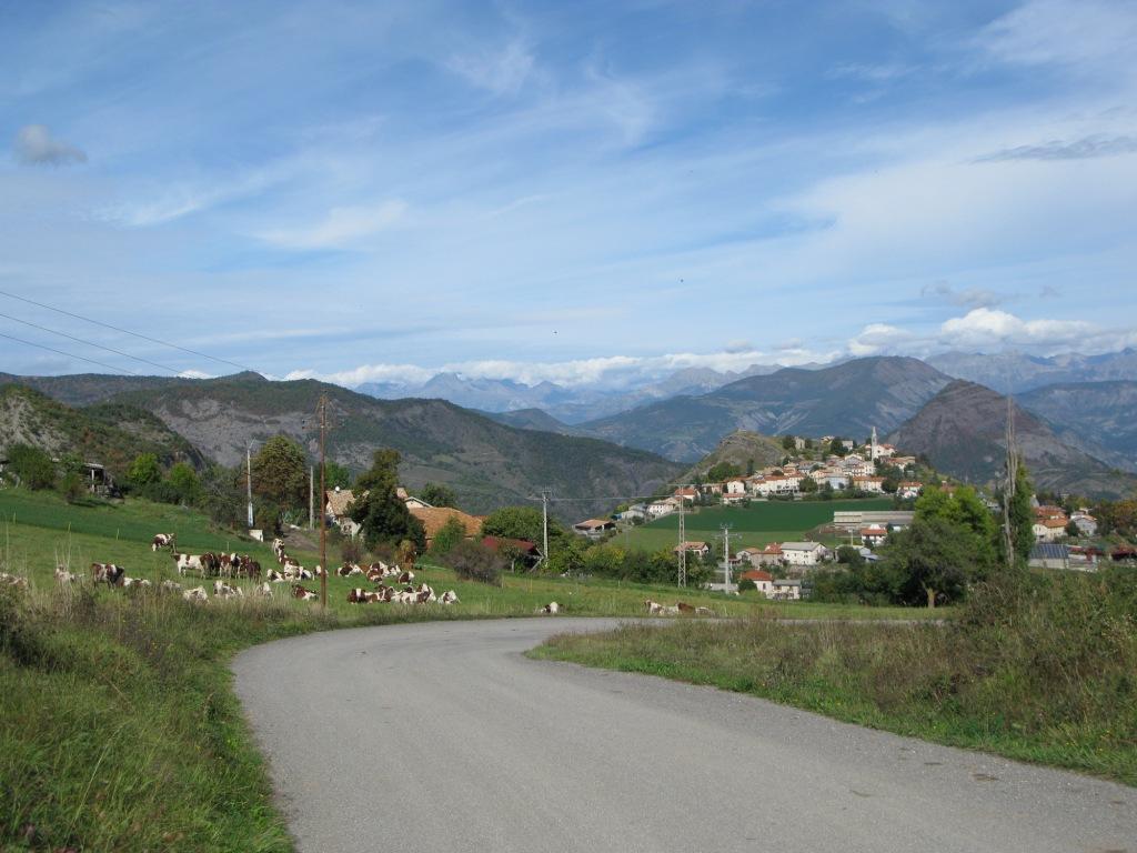 Le troupeau du "pôvre paysan"