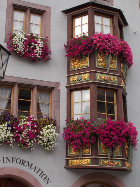 DSCN1045.JPG