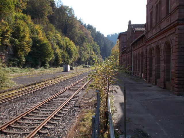 DSCN1084.JPG