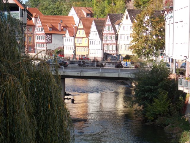 DSCN1086.JPG