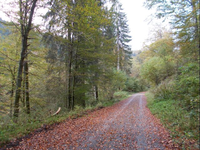DSCN1117.JPG