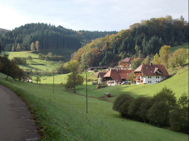 DSCN1196.JPG