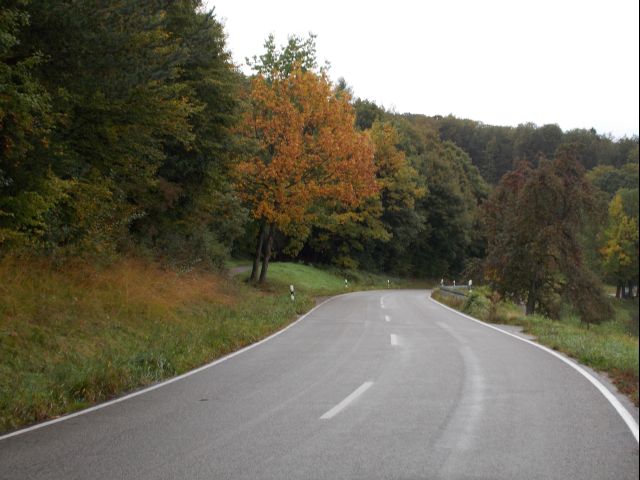DSCN1221.JPG