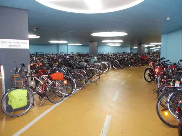 DSCN1233.JPG
