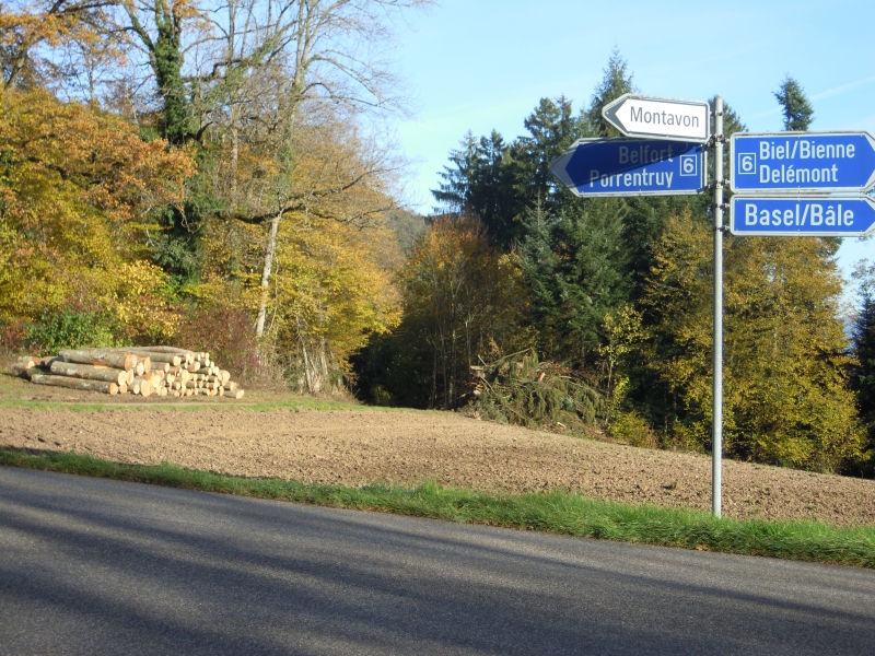 DSCN0496.JPG