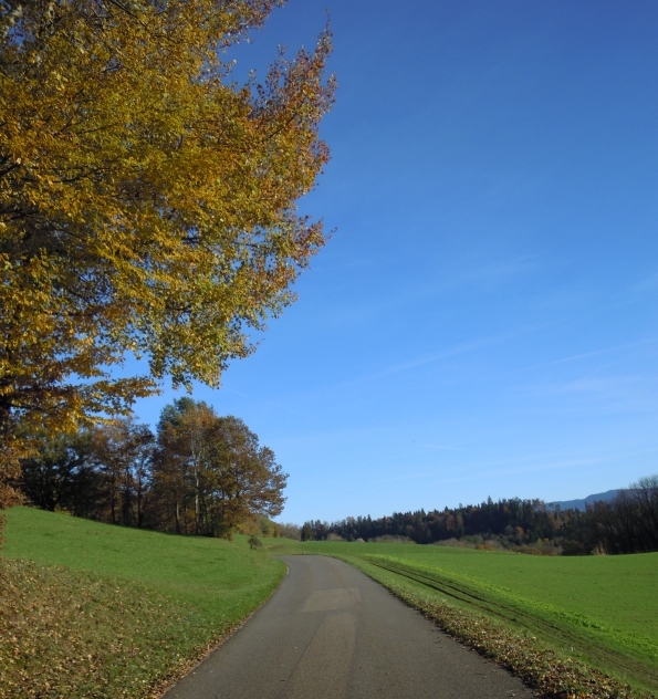 DSCN0498.JPG