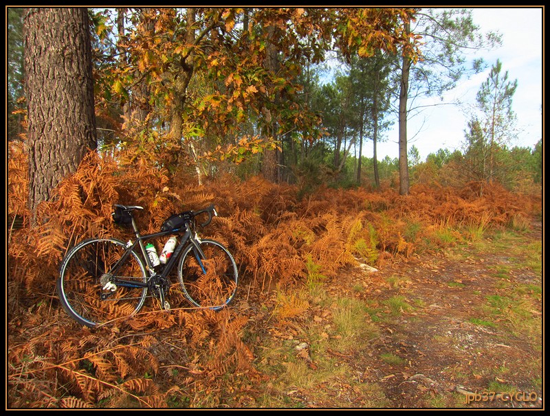 2014 11 19_cyclo_0196.jpg