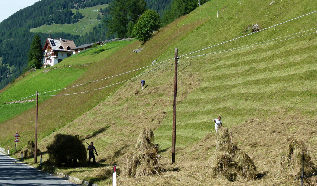 17c les foins 01.jpg