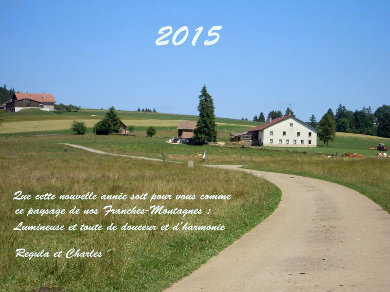 Voeux 2015x.jpg