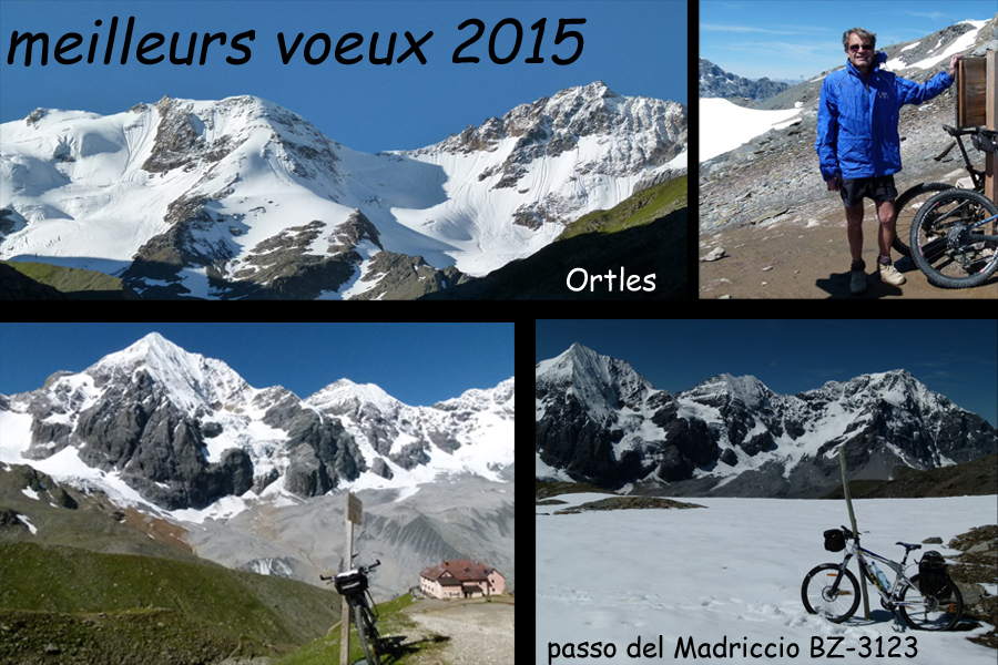 meilleurs voeux 2015.jpg