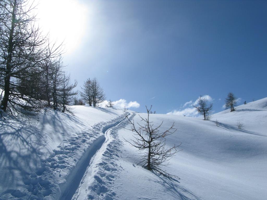 IMG_4097.JPG