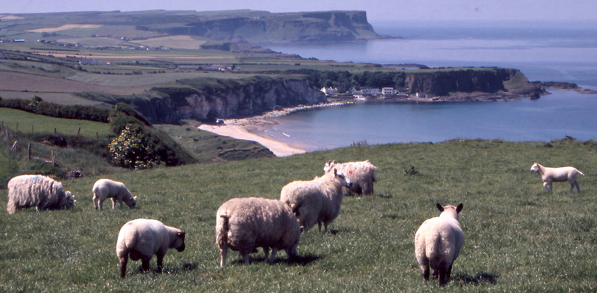 Antrim coast copie.jpg