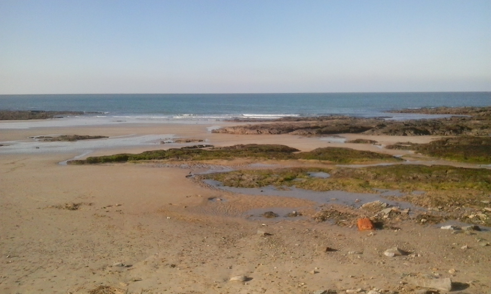 20150325_171510.jpg