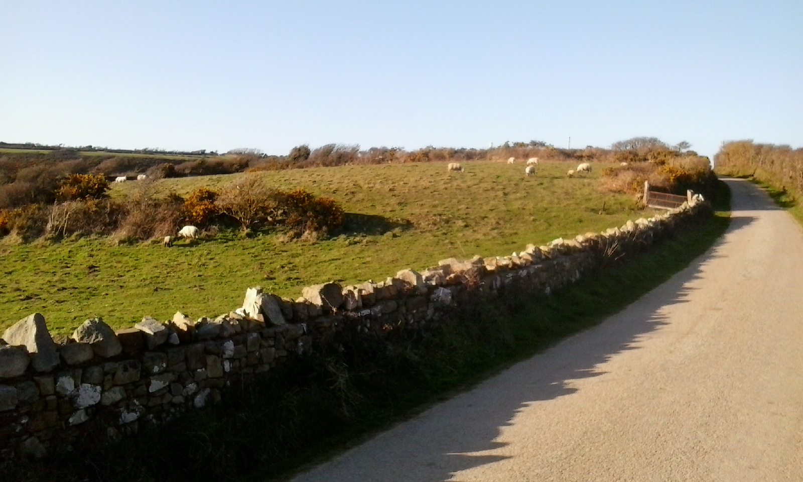 Des murets en pierre et des moutons : voilà l'Irlande !
