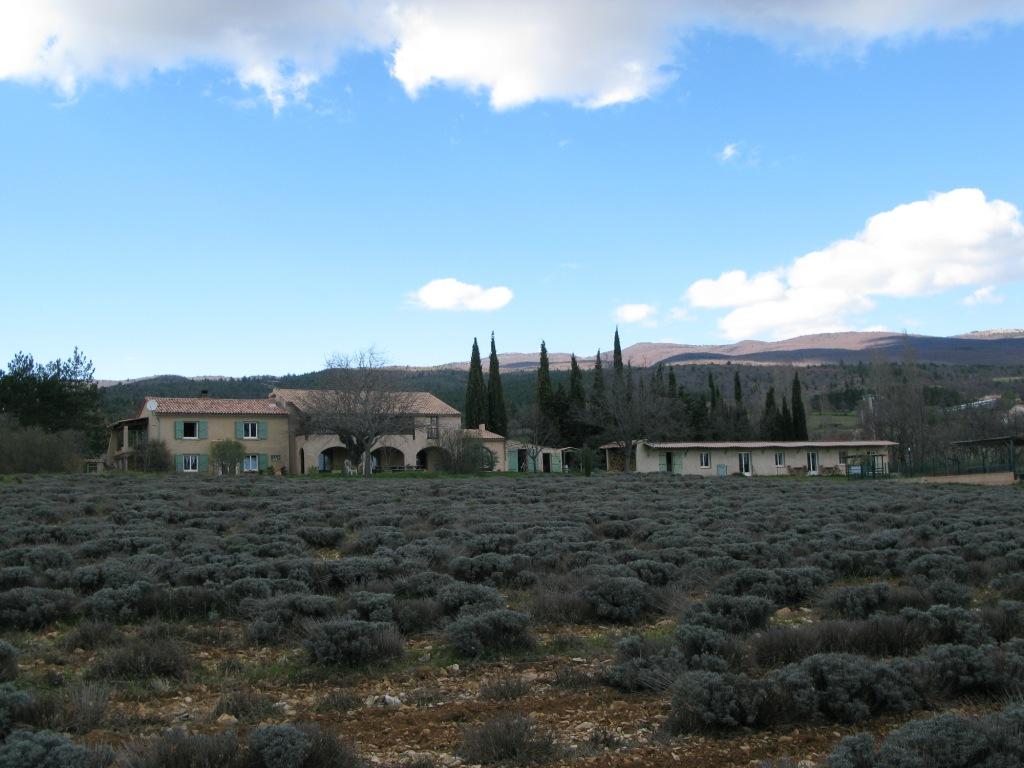Au milieu des Lavandes : Gîte des Grands Champs