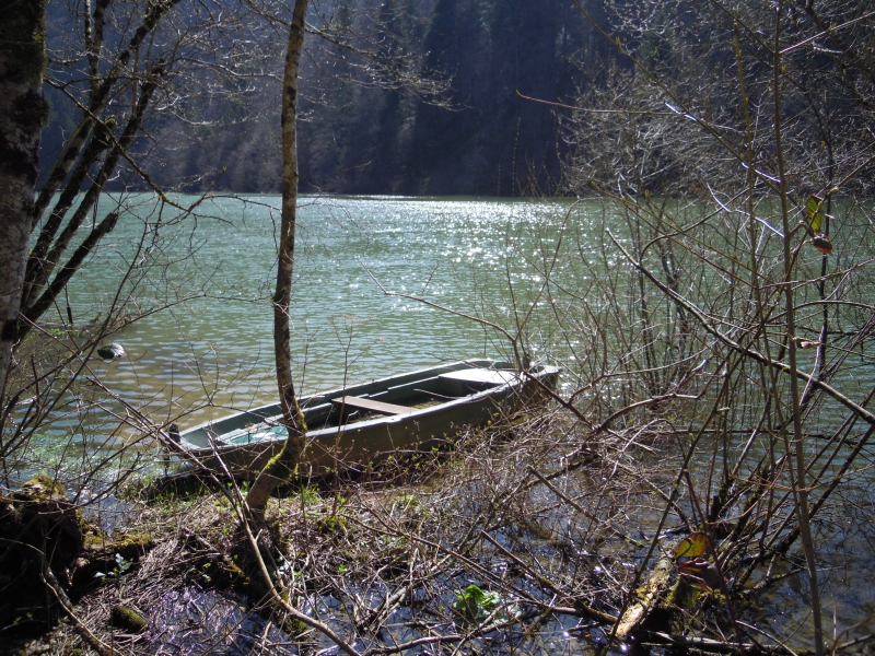 Le Doubs entre Glère et Vaufrey