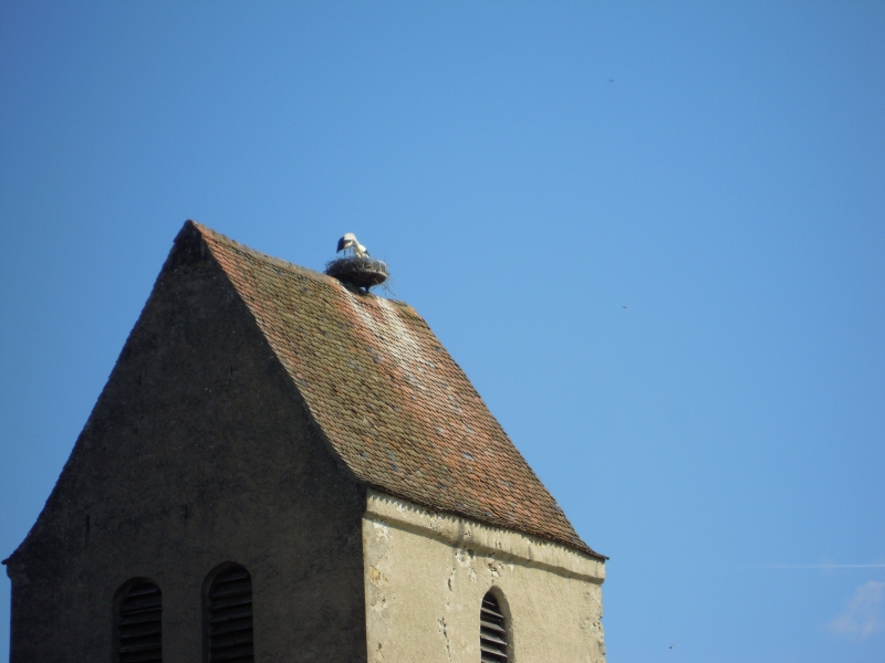 DSCN0511.JPG