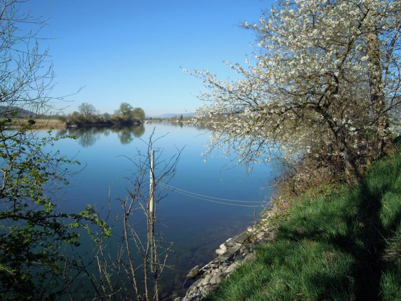 DSCN0514.JPG
