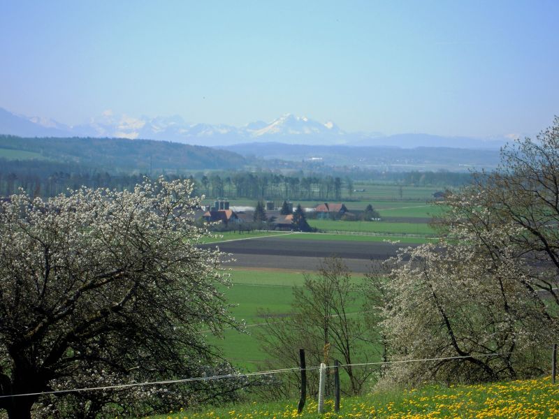 DSCN0521.JPG