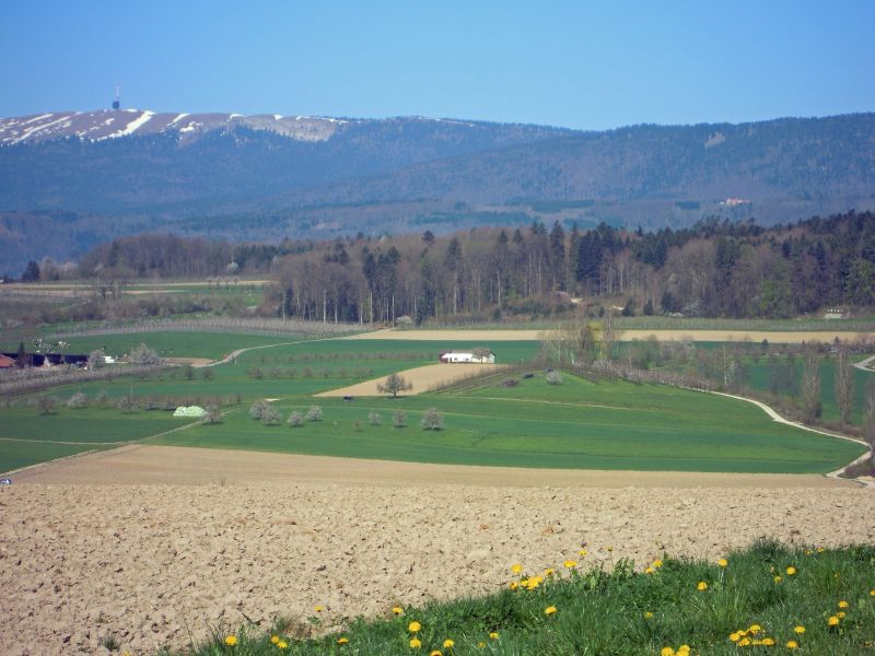 DSCN0525.JPG