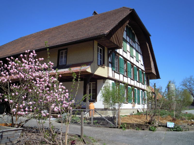 DSCN0532.JPG