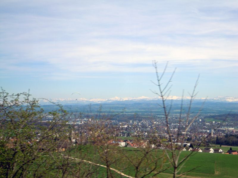 DSCN0537.JPG