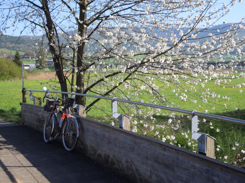 Pont de la piste cyclable sur la Sorne
