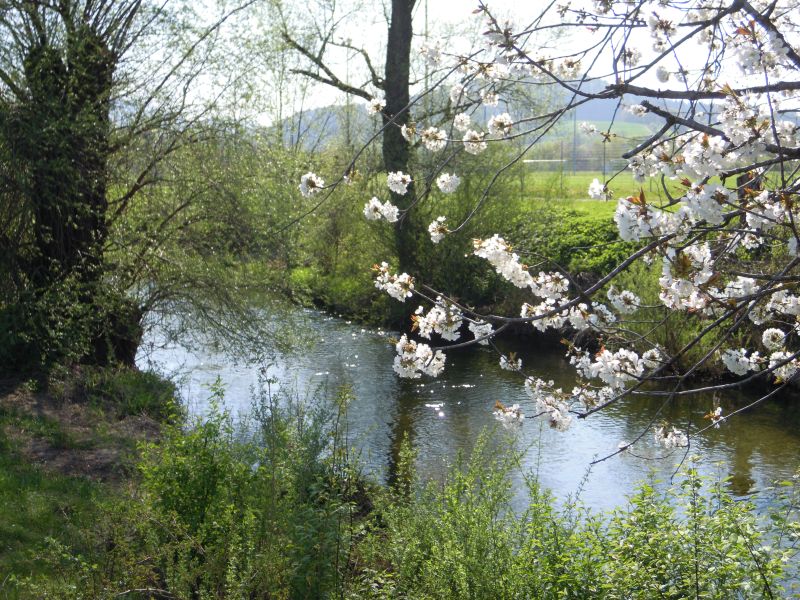 DSCN0577.jpg