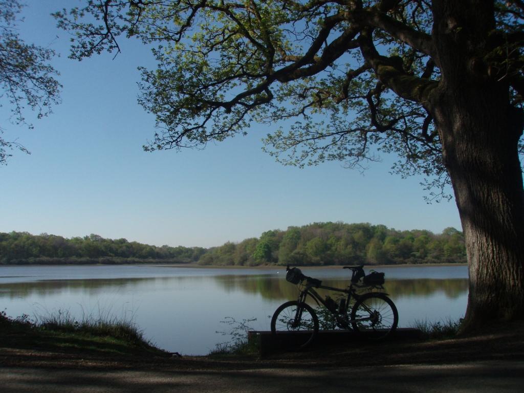 Grand Etang de Jumeau