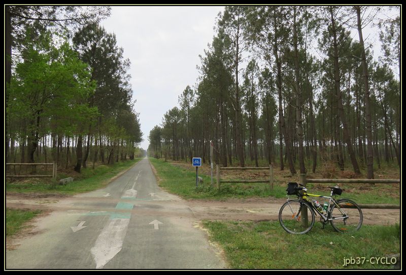 150425-0392-cyclo.jpg