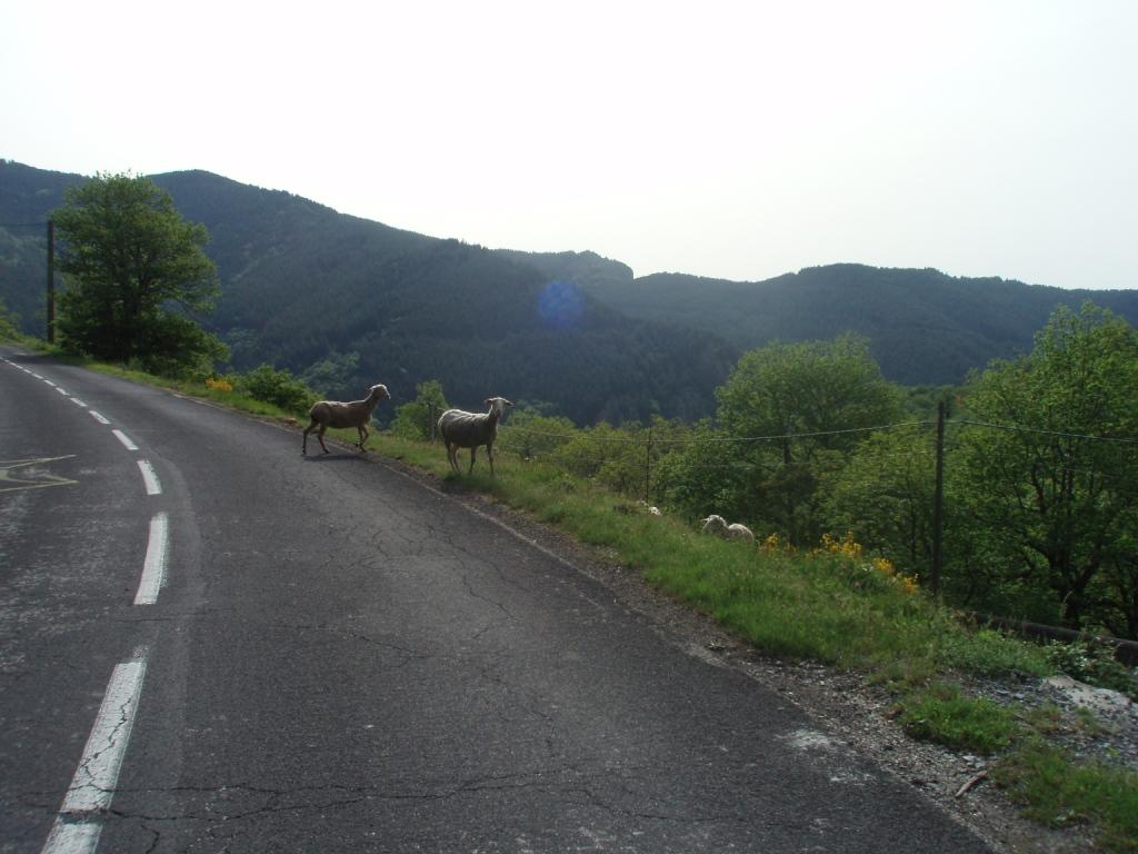 rencontre
