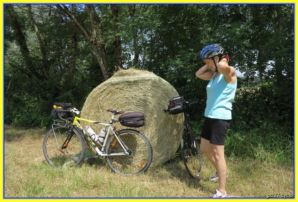 150606-0719-cyclo.jpg